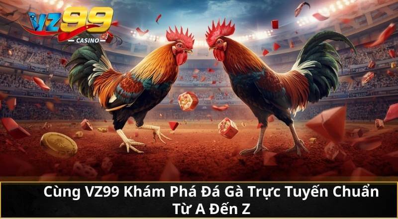Cùng VZ99 Khám Phá Đá Gà Trực Tuyến Chuẩn Từ A Đến Z